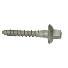 Screw spike for Railway fastener